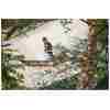 STIHL HT 135 Benzin-Hochentaster | 1/4″ PM3 Schneidgarnitur 30 cm
