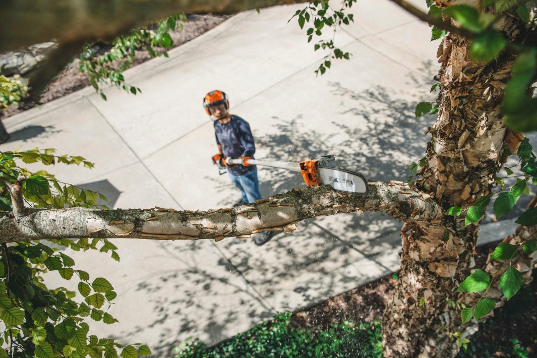 STIHL HT 135 Benzin-Hochentaster | 1/4″ PM3 Schneidgarnitur 30 cm