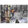 STIHL HTA 150 Akku-Hochentaster | Forstausführung | 3/8″ PM3 Schneidgarnitur 30 cm