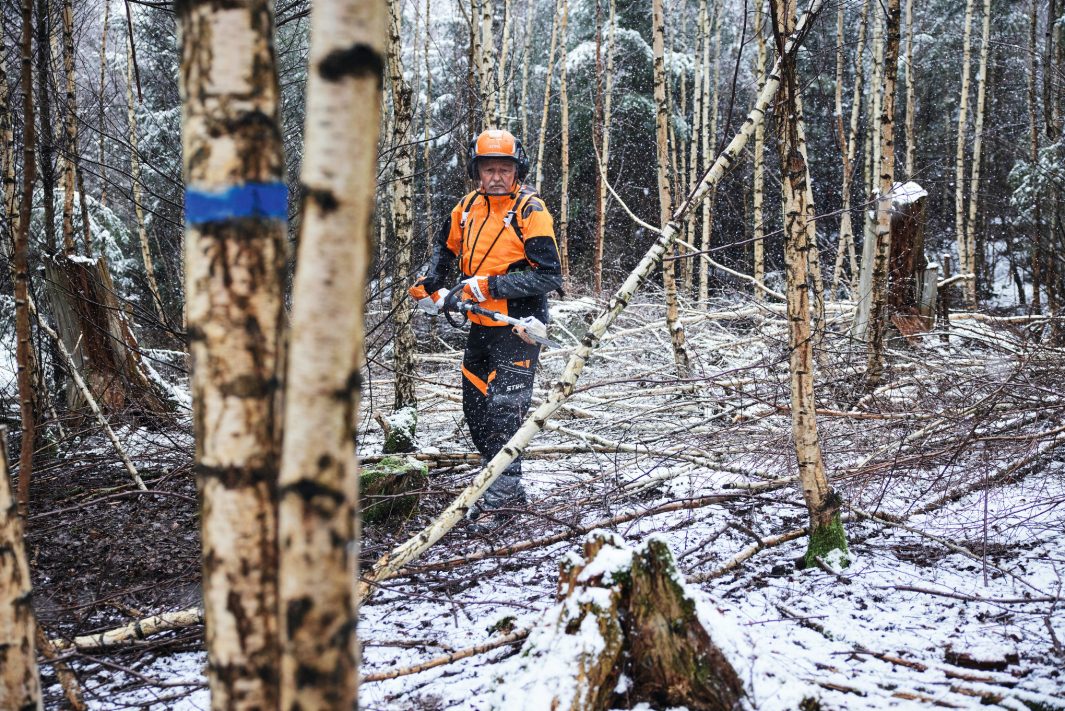 STIHL HTA 150 Akku-Hochentaster | Forstausführung | 3/8″ PM3 Schneidgarnitur 30 cm