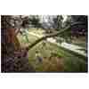STIHL HTA 160 Akku-Hochentaster | 1/4″ PM3 Schneidgarnitur 30 cm