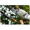 STIHL HTA 86 Akku-Hochentaster | 1/4″ PM3 Schneidgarnitur 30 cm