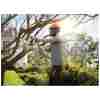STIHL MS 151 C-E Benzin-Motorsäge | 1/4″ PM3 Schneidgarnitur 30 cm