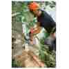 STIHL MS 151 TC-E Benzin-Motorsäge | 1/4″ PM3 Schneidgarnitur 30 cm