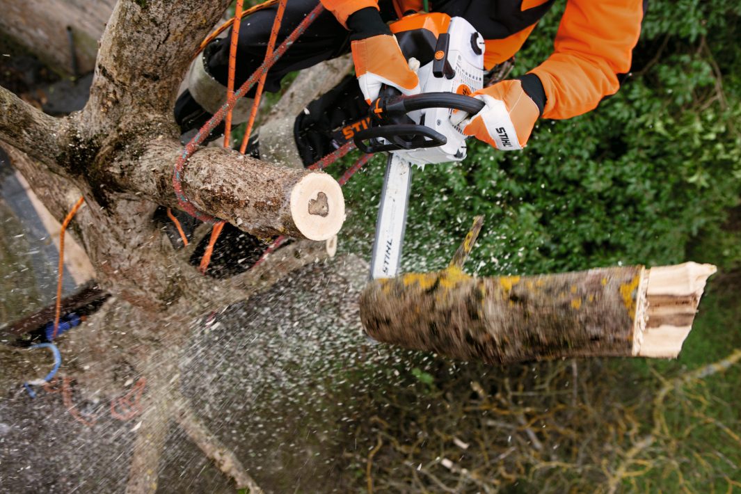 STIHL MS 201 TC-M Benzin-Motorsäge | 3/8″ PS3 Pro Schneidgarnitur 35 cm