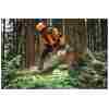 STIHL MS 300 C-M Benzin-Motorsäge | .325″ RS Pro Schneidgarnitur 40 cm