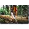 STIHL MS 300 C-M Benzin-Motorsäge | .325″ RS Pro Schneidgarnitur 40 cm