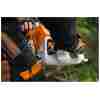 STIHL MS 500i W Benzin-Motorsäge | 3/8″ RS Schneidgarnitur 71 cm