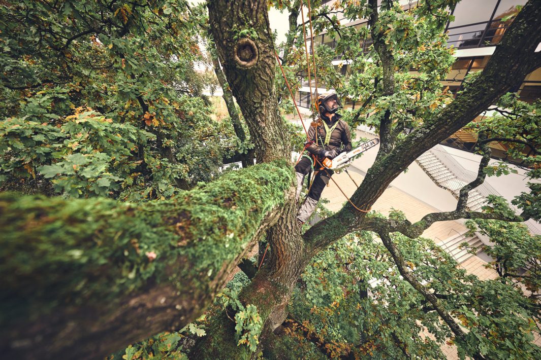 STIHL MSA 220 T Akku-Kettensäge | 3/8″ PS3 Pro Schneidgarnitur 35 cm